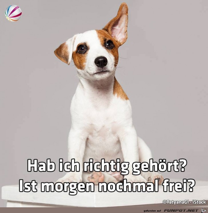 Hab ich richtig gehoert