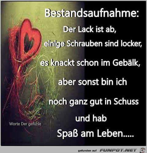 Bestandaufnahme Bestandaufnahme