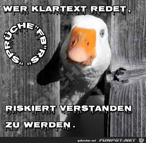 Wer Klartext redet