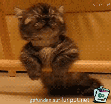 Bin ich müde Bin ich müde