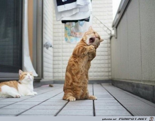 bitteeeeeeeeeee bitteeeeeeeeeee