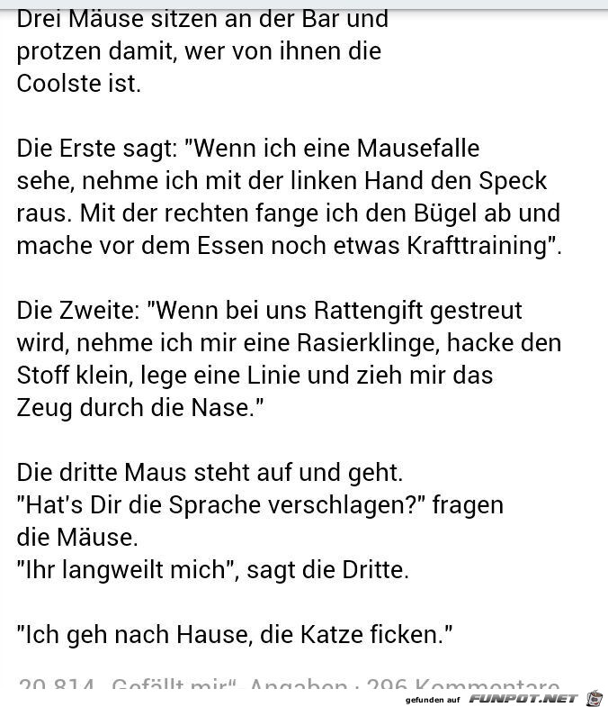 Drei Maeuse Drei Maeuse