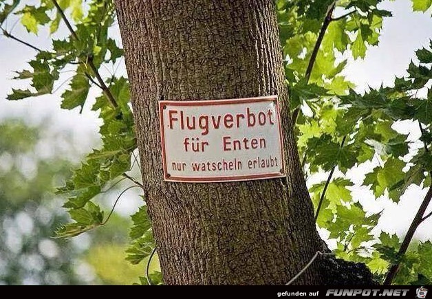 Flugverbot Flugverbot