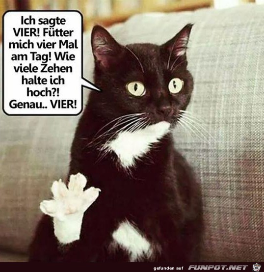 Was sagte ich