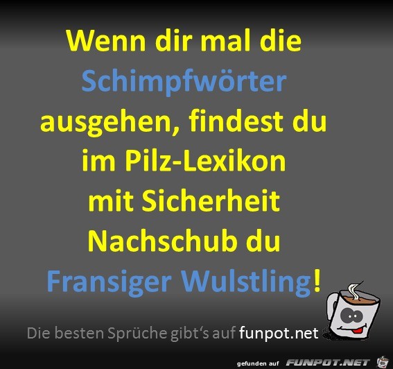 Schimpfwörter Schimpfwörter