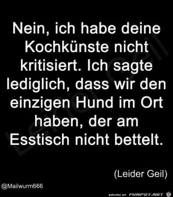 Nein ich habe deine Kochkuenste nicht kritisiert Nein ich habe deine Kochkuenste nicht kritisiert