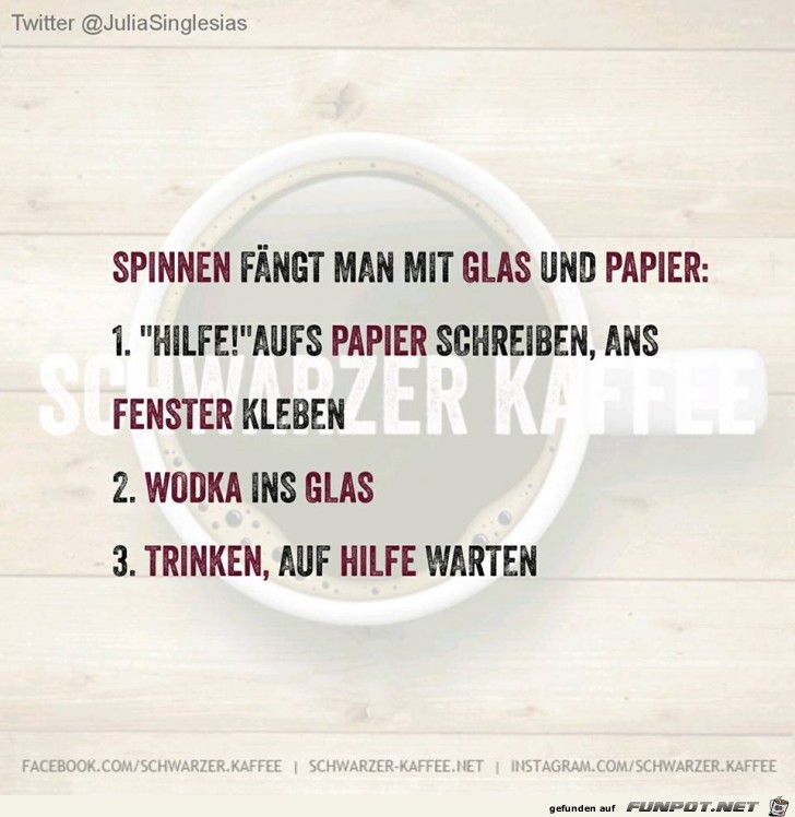 Spinnen faengt man mit einem Glas und Papier