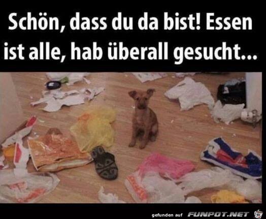 Schoen das du da bist Schoen das du da bist