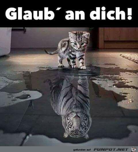 Glaub an dich!