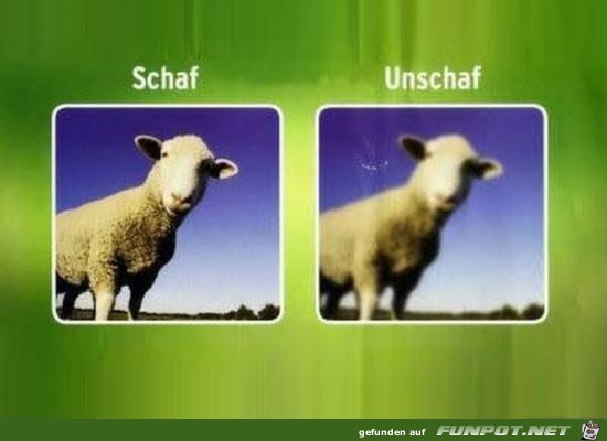 Ach nee Ach nee
