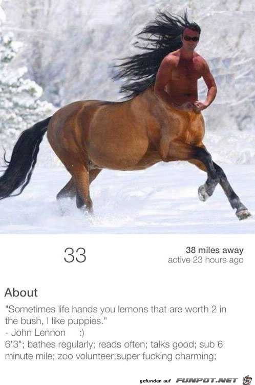 horse-tinder