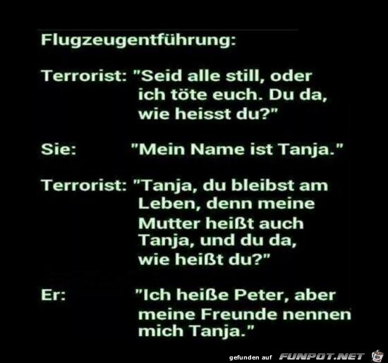Flugzeugentführung... Flugzeugentführung...