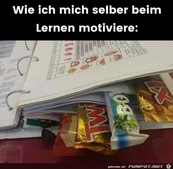 Motivieren Motivieren