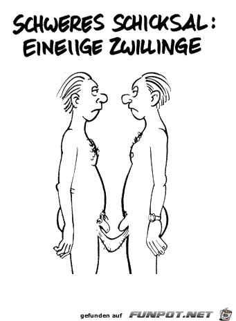 Eineiige Zwillinge Eineiige Zwillinge