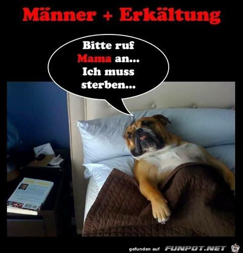 Männergrippe Männergrippe