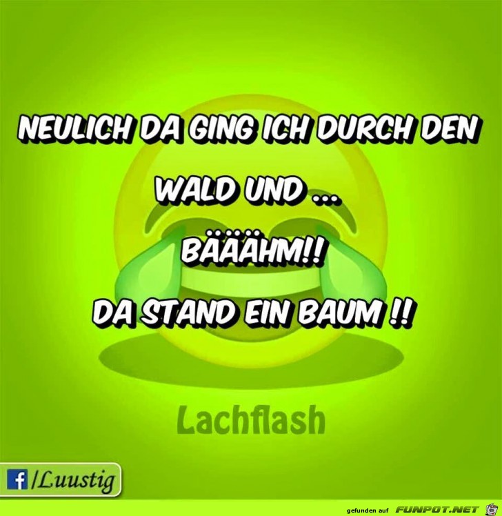 Da stand ein Baum Da stand ein Baum