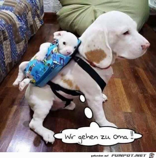 Zur Oma Zur Oma