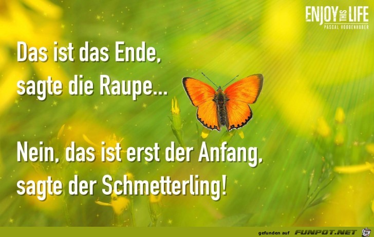 Das ist das Ende