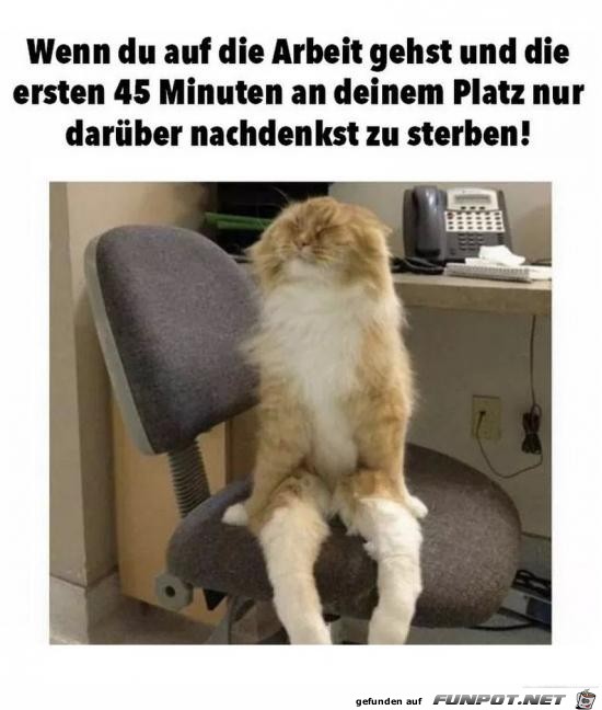 wenn du auf die Arbeit gehst........