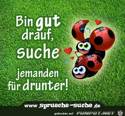bin gut drauf...... bin gut drauf......