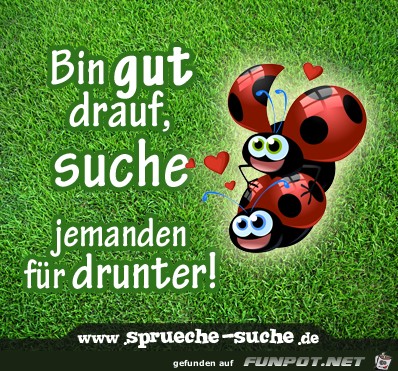 bin gut drauf......