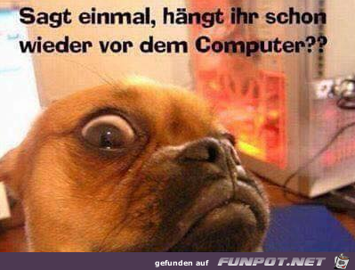 Ich sehe dich Ich sehe dich