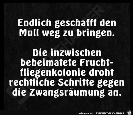 Müll Müll