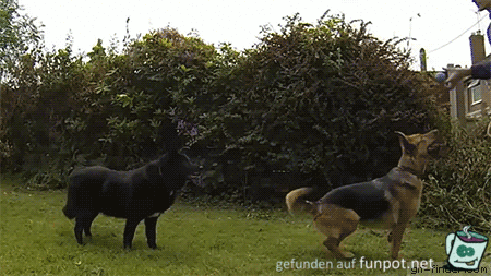 Das ist mein Ball Das ist mein Ball
