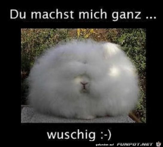 wuschig wuschig