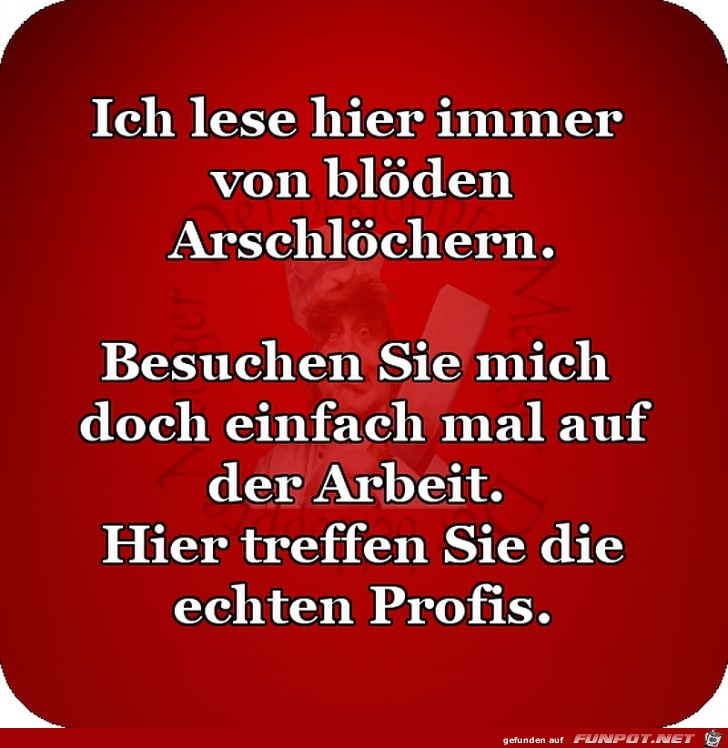 Die bloeden Arschloecher Die bloeden Arschloecher