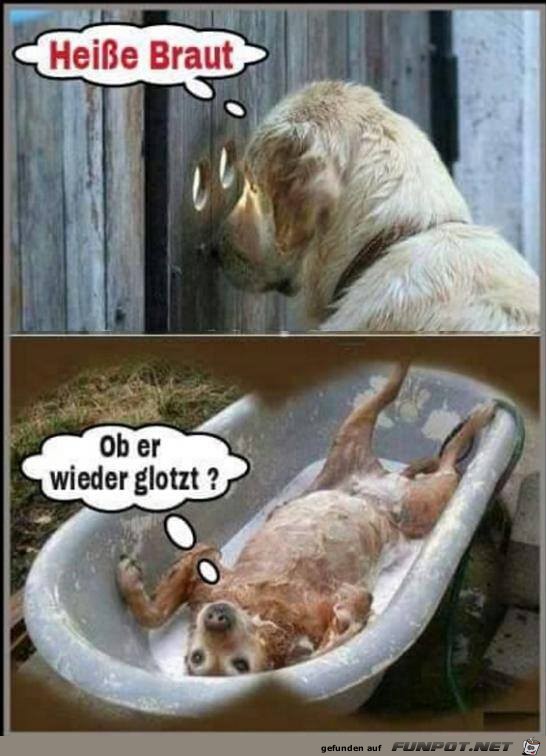 Heisse Braut Heisse Braut