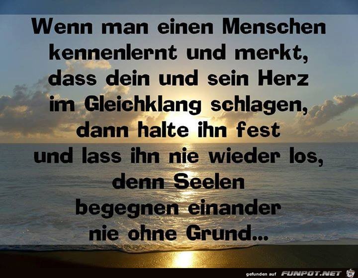 Nie ohne Grund