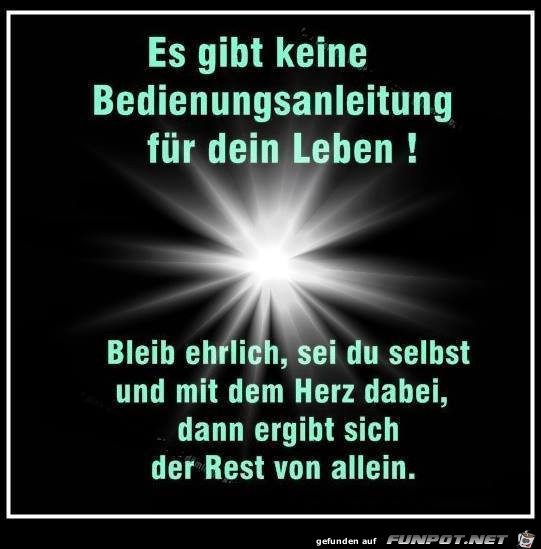 Es gibt keine Bedienungsanleitung Es gibt keine Bedienungsanleitung