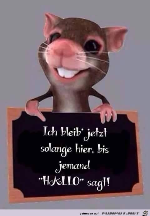 Bis jemand Hallo sagt Bis jemand Hallo sagt
