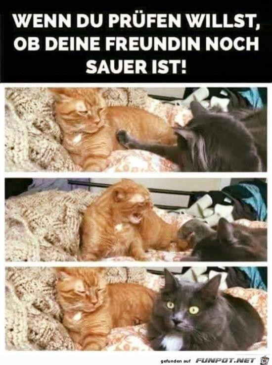 Sie ist noch sauer Sie ist noch sauer