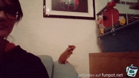 Hat nicht ganz gereicht Hat nicht ganz gereicht
