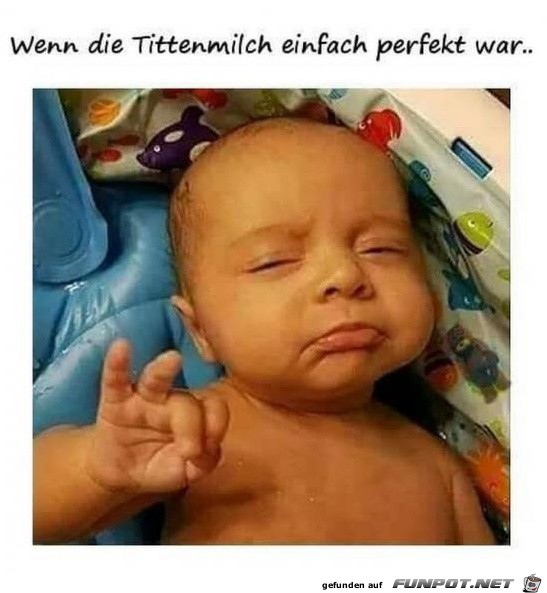 Milch Milch