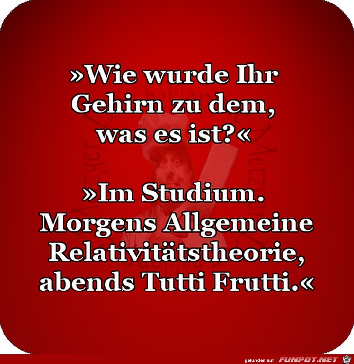 Gehirn Gehirn