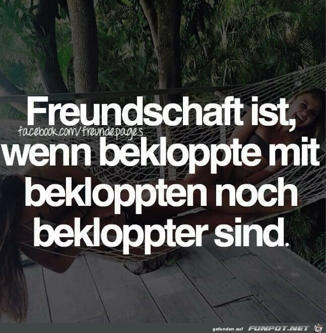Freundschaft ist Freundschaft ist