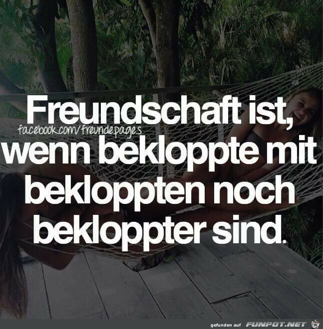 Freundschaft ist