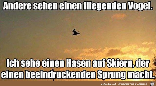 Was siehst Du Was siehst Du