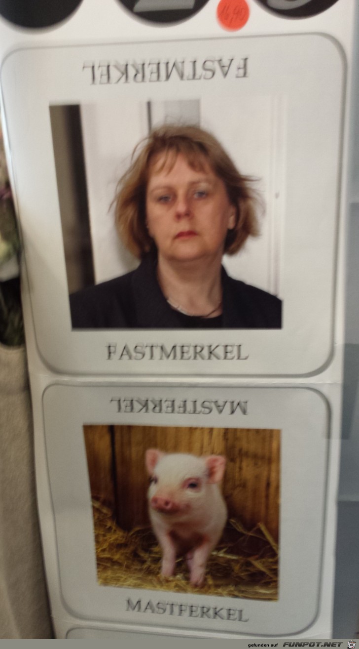 Fast Merkel Fast Merkel