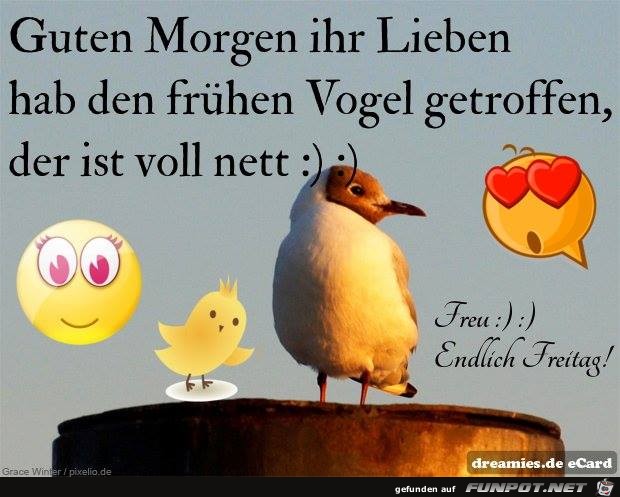 Den fruehen Vogel getroffen