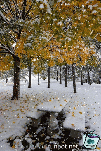 Wintereinbruch Wintereinbruch