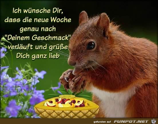 Wuensche Dir