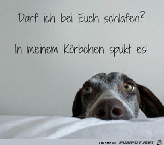 Es spukt Es spukt