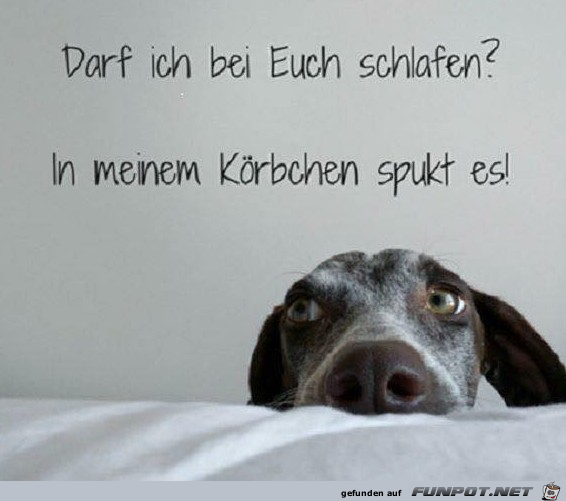 Es spukt Es spukt