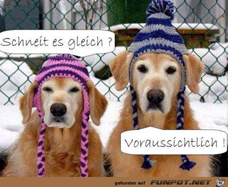 Herrlich Herrlich