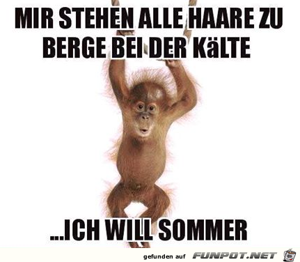 Mir ist kalt Mir ist kalt