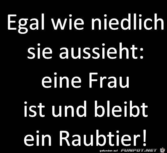 Die Frau, das Raubtier Die Frau, das Raubtier